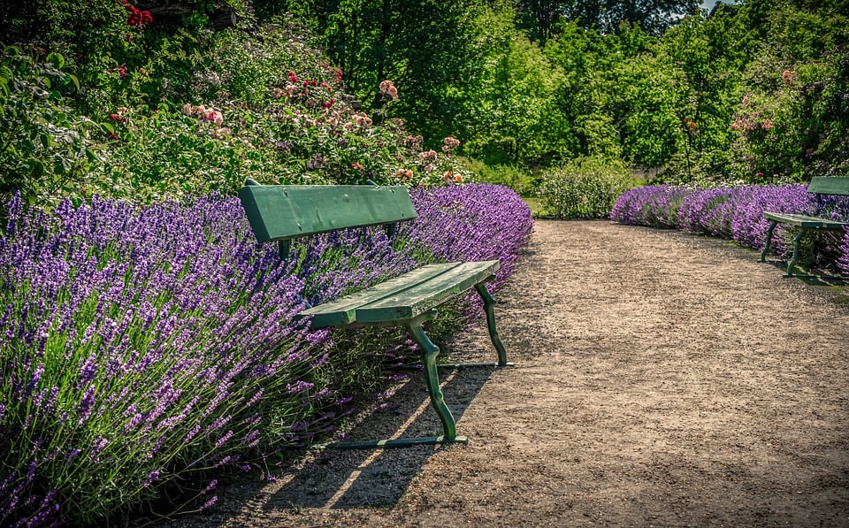 funeral homes in Elk Grove Village, IL