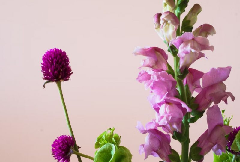 funeral homes in Elk Grove Village, IL