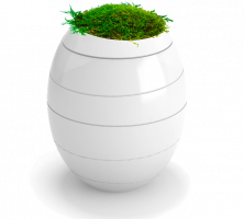 cremation service in Schaumburg, IL