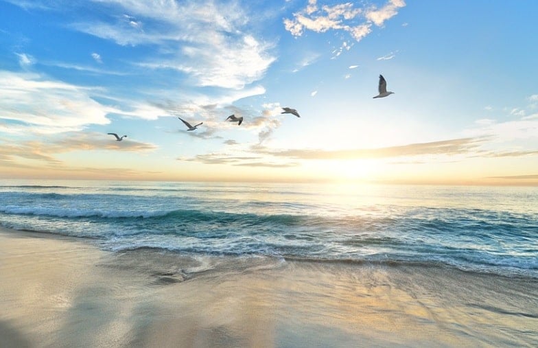funeral homes in Elk Grove Village IL