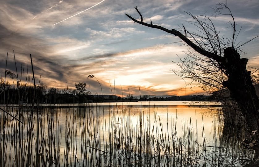 funeral homes in barrington, il