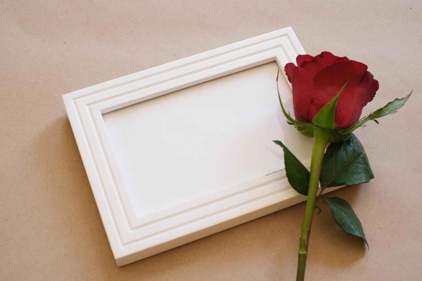 cremation services Schaumburg IL
