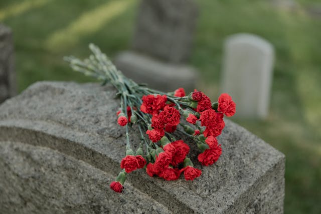 cremation services Schaumburg IL